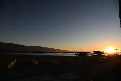 DSC_6549 (Large).JPG